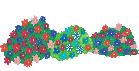 Imagenmantodeflores